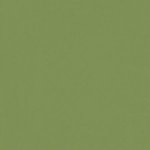 Paint and Paper Library Fowlers Olive Paint